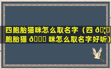 四胞胎猫咪怎么取名字（四 🦄 胞胎猫 🐘 咪怎么取名字好听）